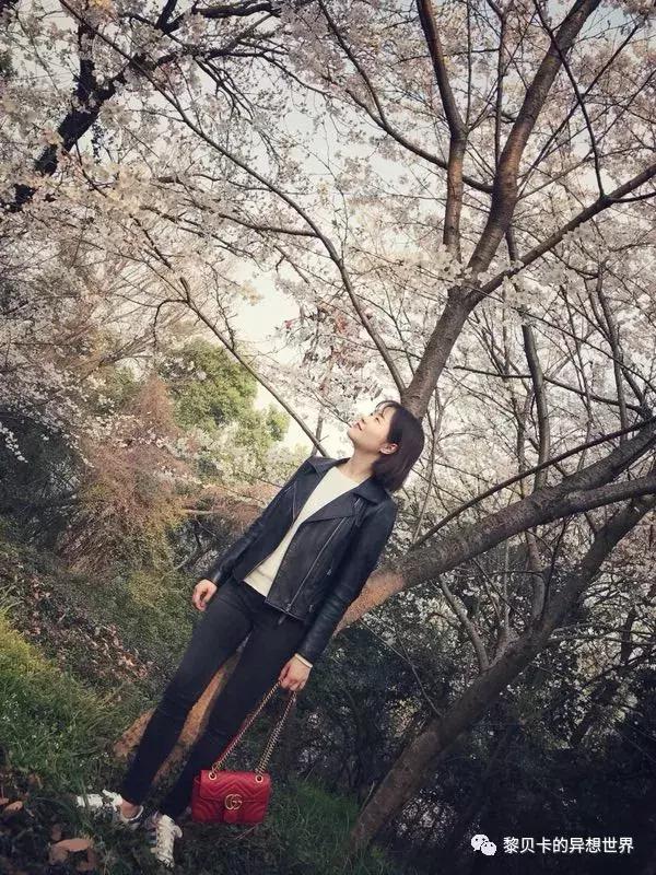 如果这辈子只能选3辆车你选哪3辆,假如这辈子只能买一只包