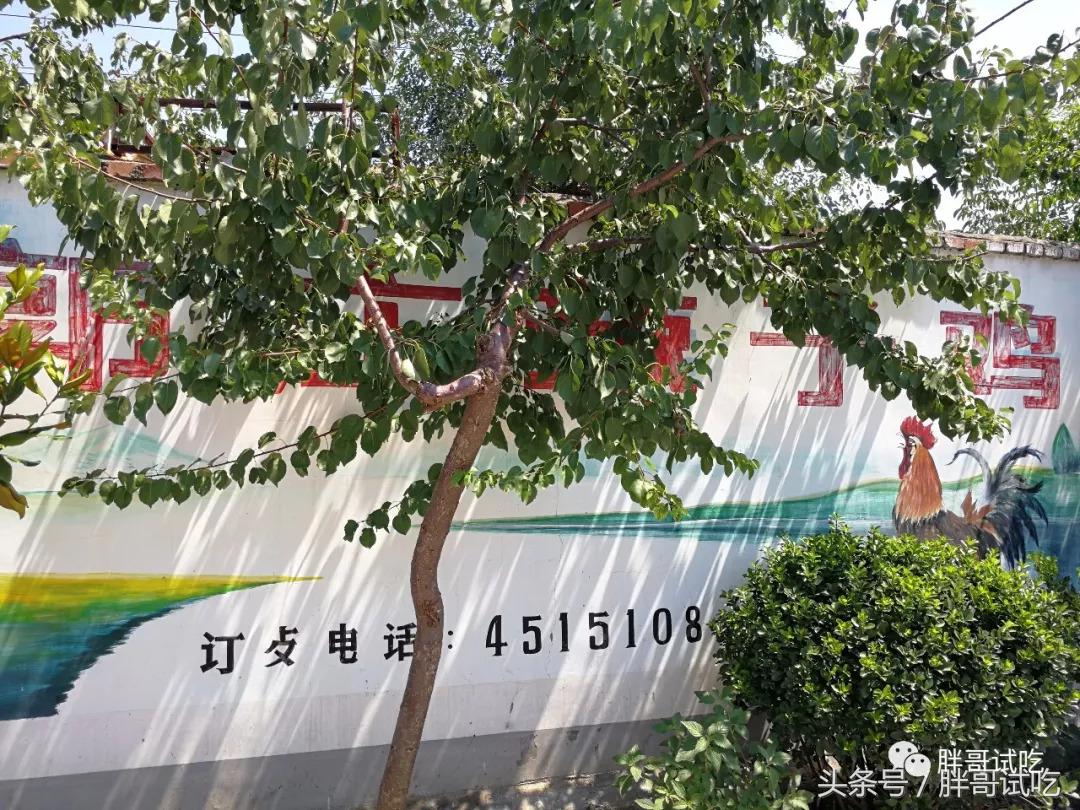 胖哥枣庄辣子鸡,邹坞辣子鸡试吃