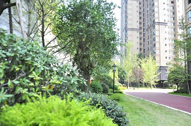 南充精装房子推荐,南充精装花园洋房