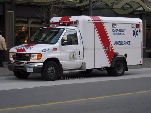 在中国撒泼打滚耍无赖的“熊老人”，来加拿大终于学乖了！