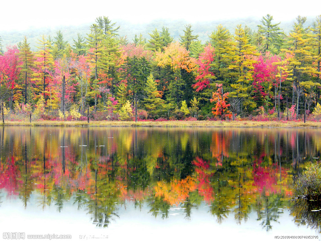 三人行︱梦一场城下作画