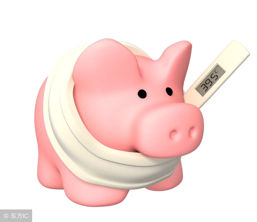 育肥猪发热起不来什么病,养猪反复高烧怎么治