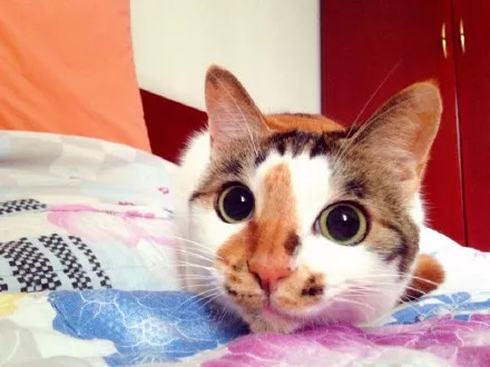 收了礼物把我拉黑怎么要回,收了我的礼物却拉黑了我