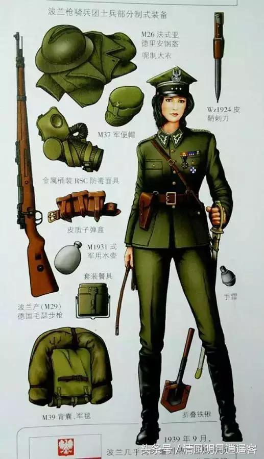 二战美国海军少尉军衔军装,从二战到现在的军装军衔等级