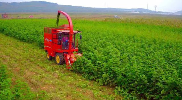 不要错过了发酵饲料的新时代