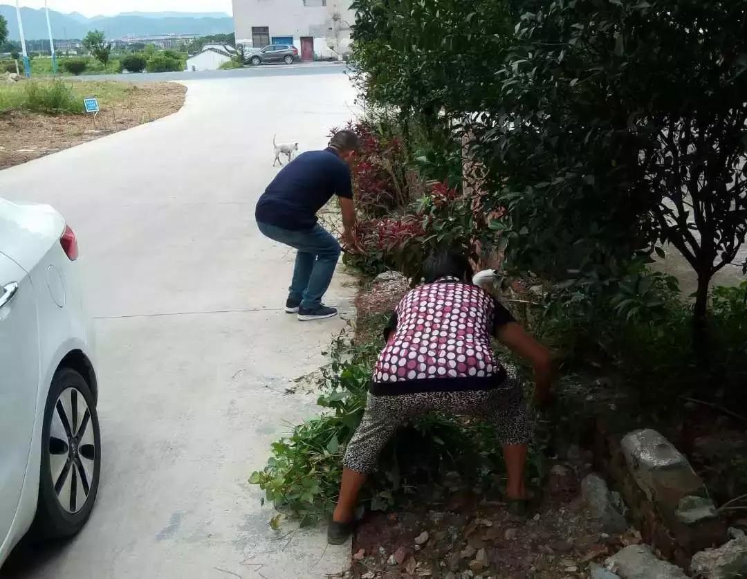 东阳市江北街道:一座城市一个家,文明江北靠大家!