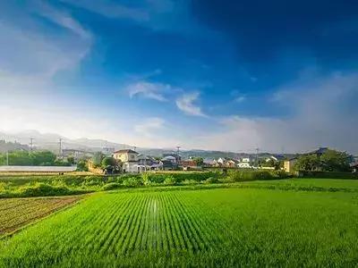 乡村振兴申论关键词,乡村振兴关键词大全