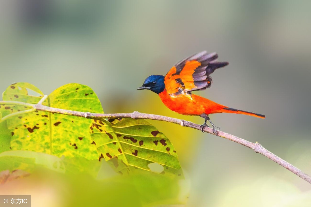 三年级语文课外阅读练习题及答案,三年级学生课外阅读上存在的问题