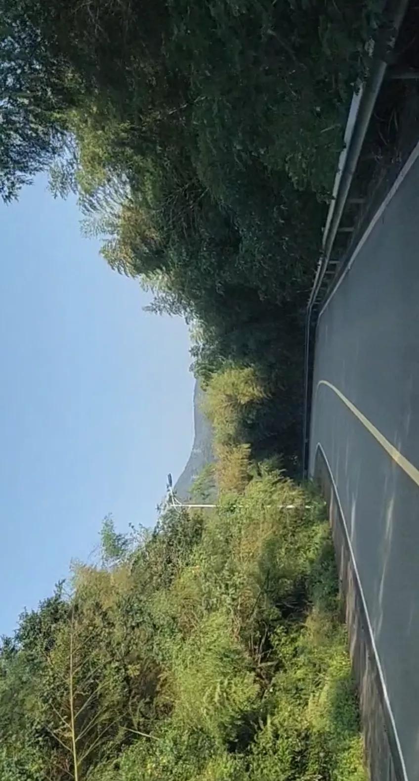 秋季宁波钓鱼,秋钓深潭