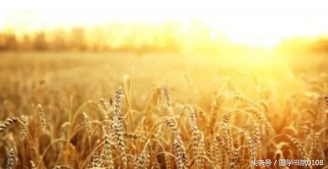 金子般六句话经典语录,金子般的六句话受益终生