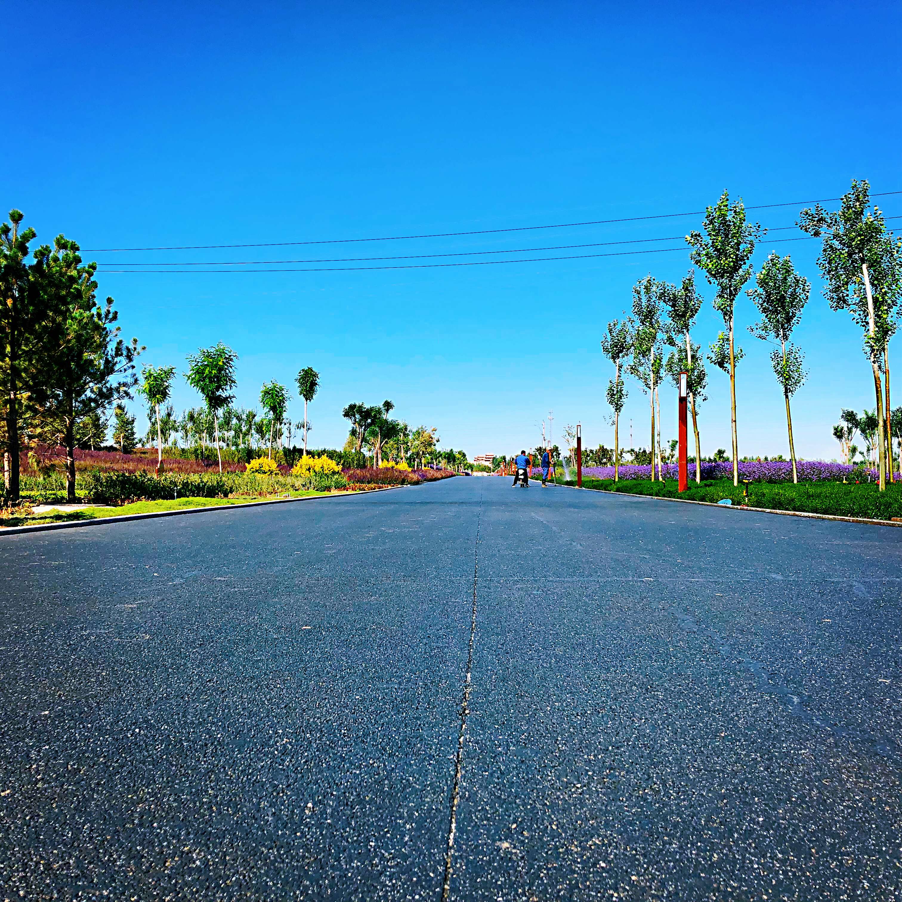 似水流年浅笑安然,似水流年静候花开