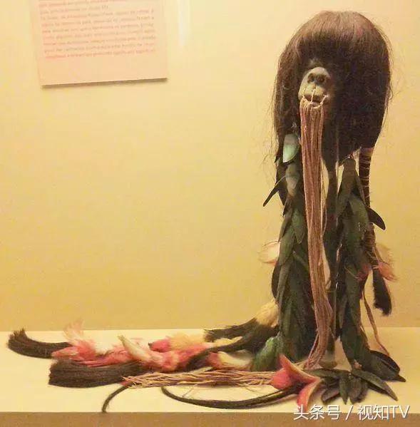 巴西国家博物馆火灾原因有哪些,巴西博物馆遭大火镇馆之宝