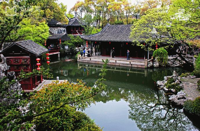 我的小学在线免费观看,我的小学在线播放