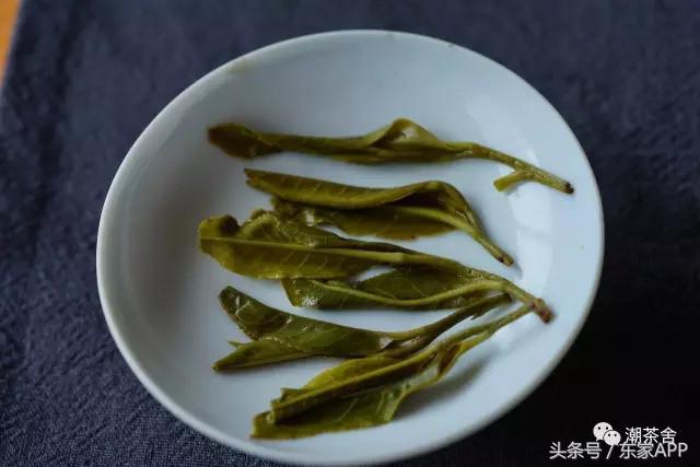 喝茶容易醉是什么原因,喝茶出现茶醉该如何去缓解呢