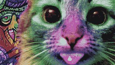 产生幻觉的图,产生的幻觉是什么