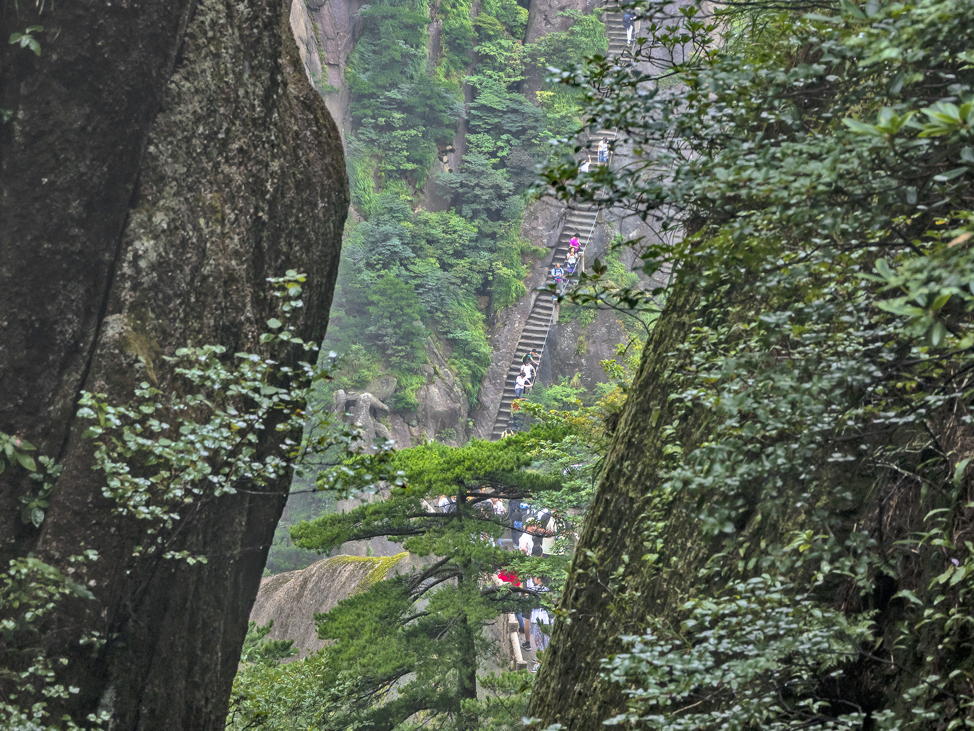 一支香烟毁掉了一家公司,一支烟毁了一生