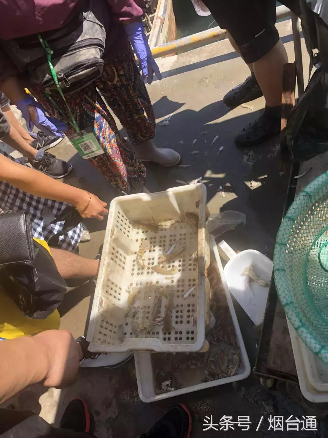 烟台开海现场直播视频,开海现场视频直播