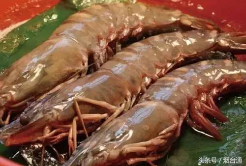 烟台开海现场直播视频,开海现场视频直播