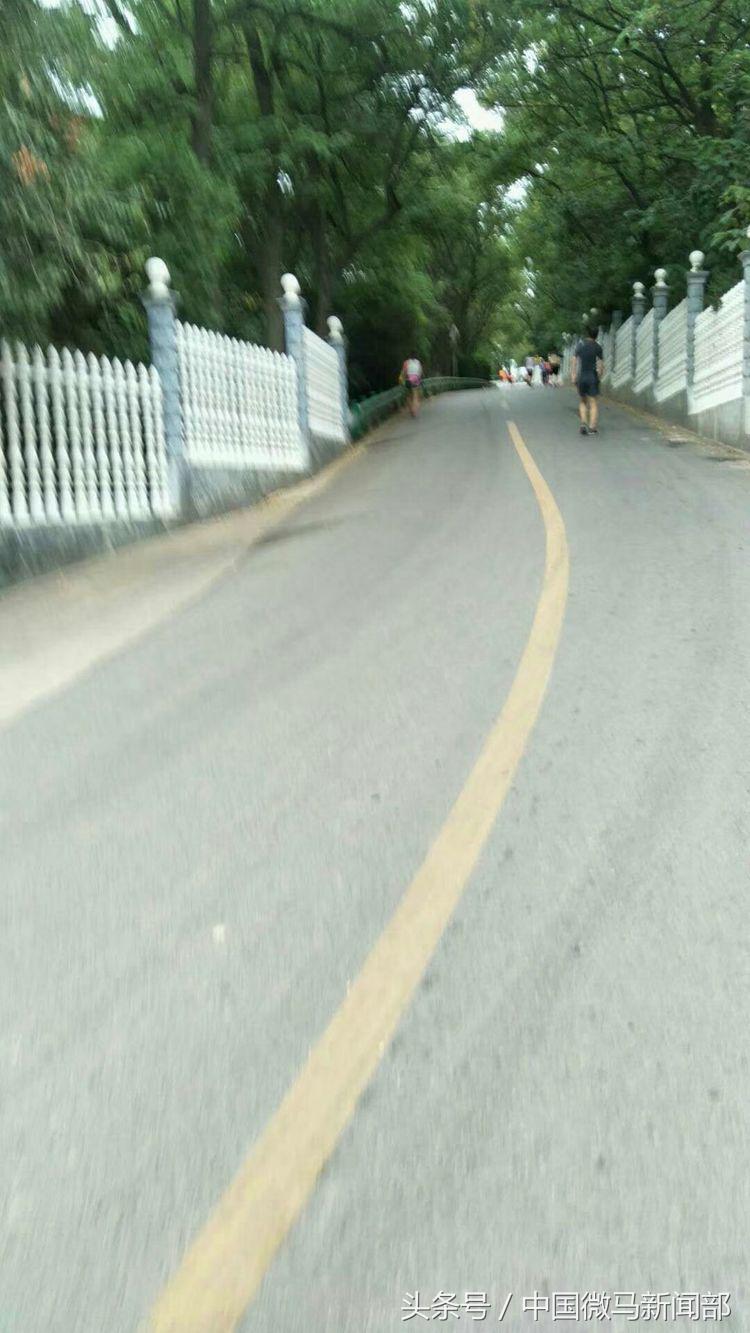 艰辛而难忘的人祖马记忆