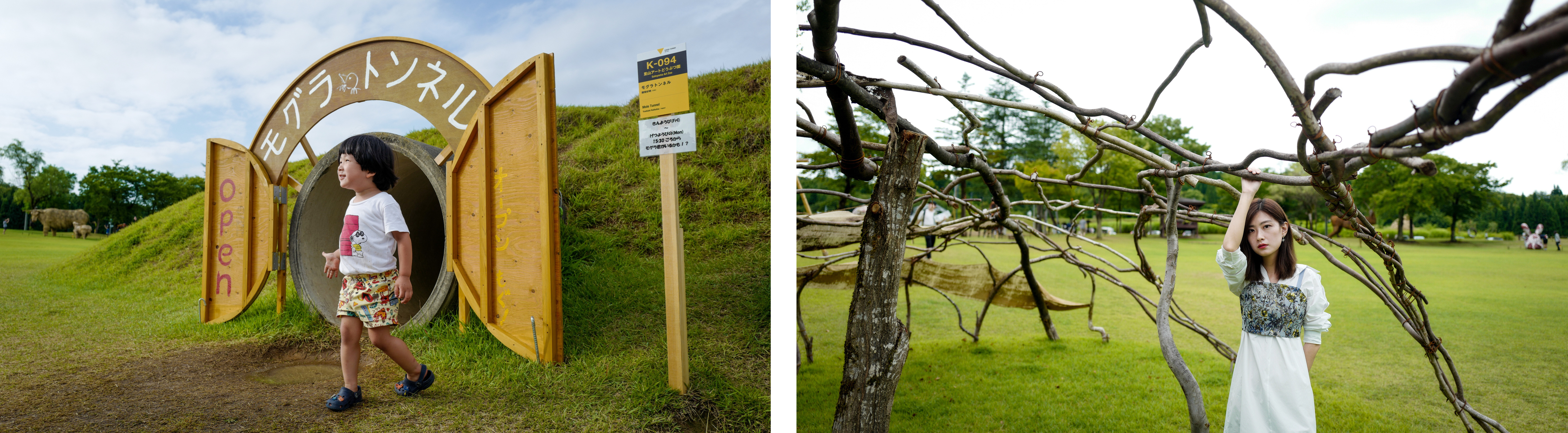 日本赴中国旅游,越后妻举办大地艺术祭的旅游价值