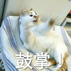 空瓶回购三次美白精华,有用的平价美白精华