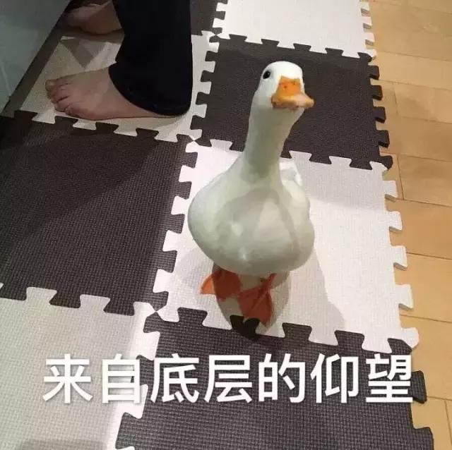 Valentino衬衣,五千多买一件衣服