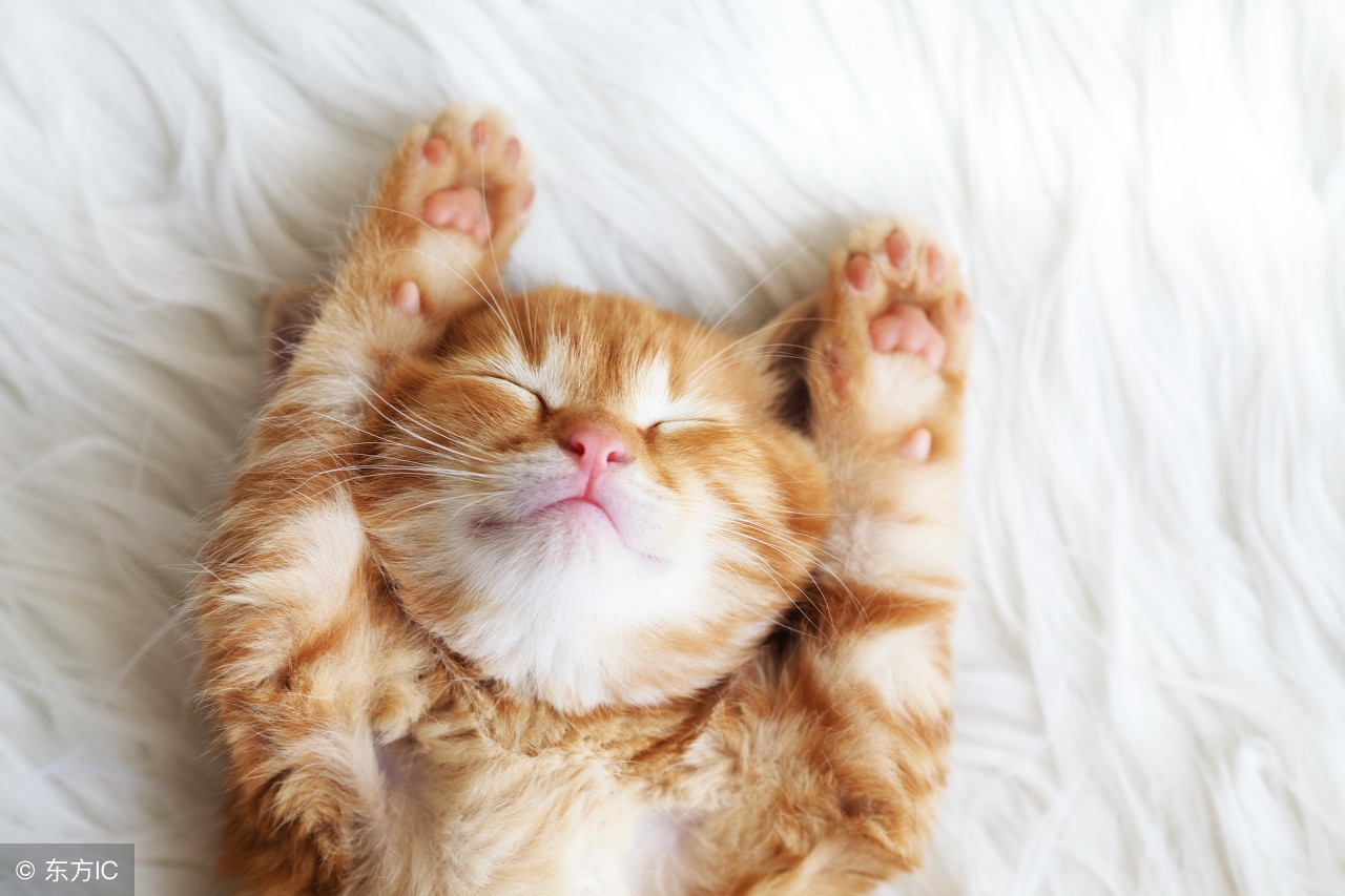 存钱不是钱的事情,存钱不是为了花钱吗