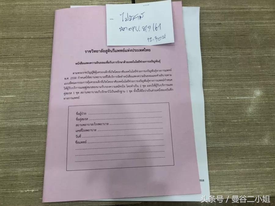 泰国冷冻卵子,泰国冻卵子