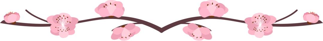 贝森豪斯｜绽放花园成都艺术餐厅，新时代的生活打卡圣地