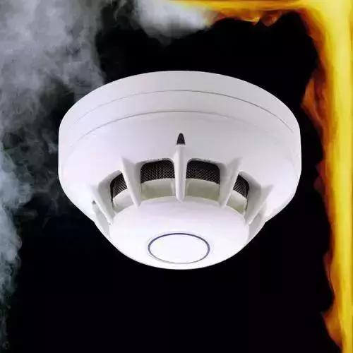 在中国耍无赖的“熊老人”，去了加拿大这下可学乖了！