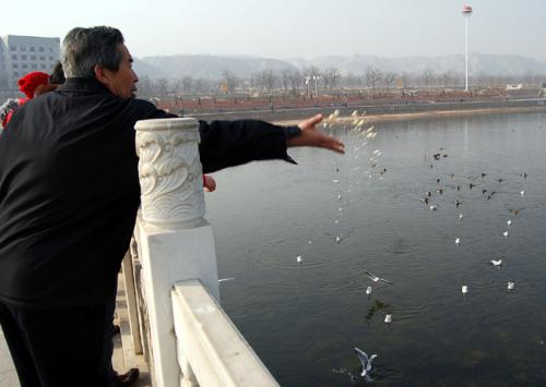 大米放太久怎么办,大米放置时间长了会发霉吗