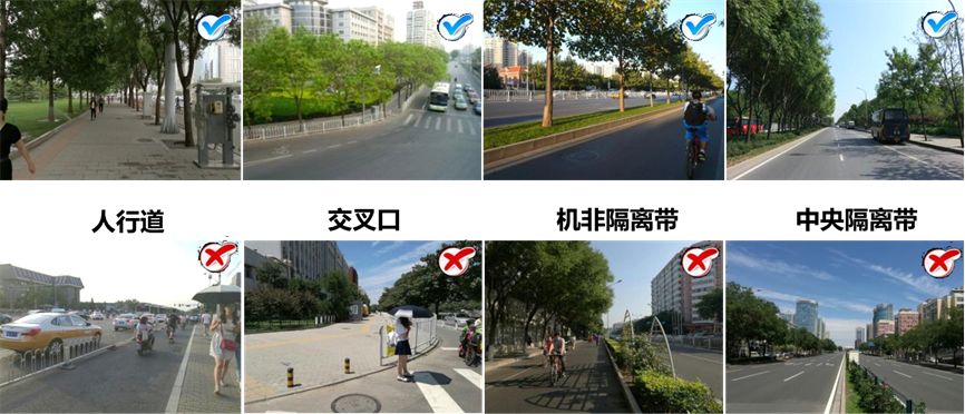 「交通看点」建设“完整林荫道”——步行和自行车交通环境设计建设图集亮点介绍（一）