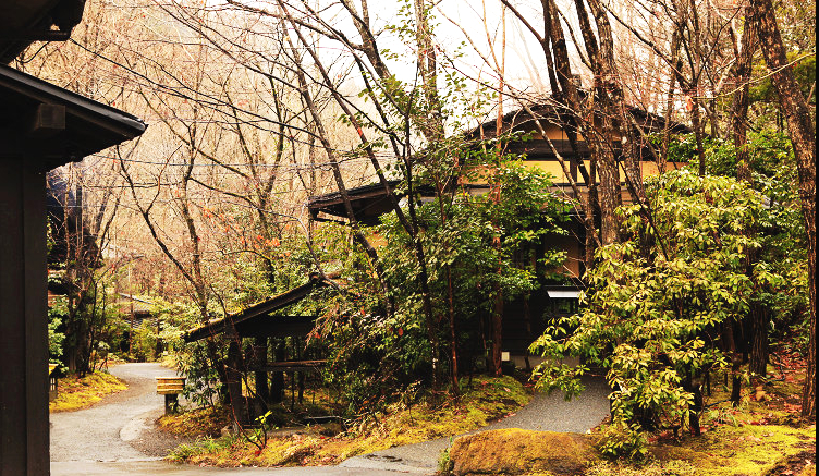 小董带你去旅行,小懂海外旅行