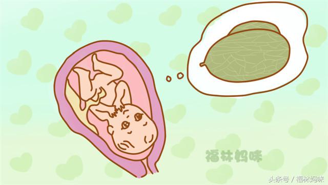 孕期各阶段胎儿发育水果图,胎儿大小与水果对照图1-10月