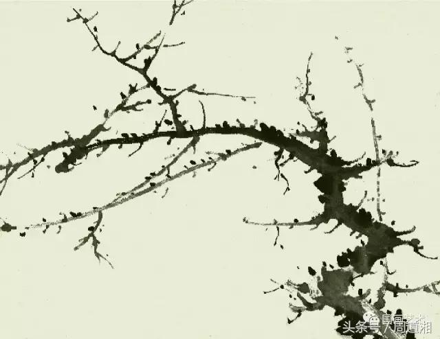 梅花花朵的国画画法视频,大写意梅花枝干国画画法