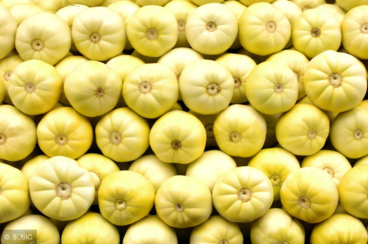 东北之行收获真情实意,东北之旅的快乐时光