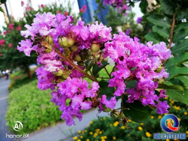 荣耀8x二手机值得买吗,荣耀8x手机全方面性能测试