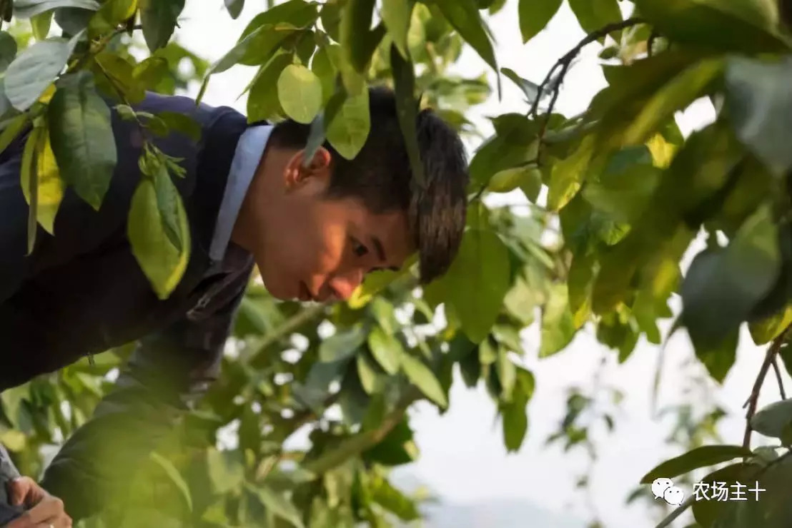 90后新农人用科技轻松种田,抖音直播网红黑科技