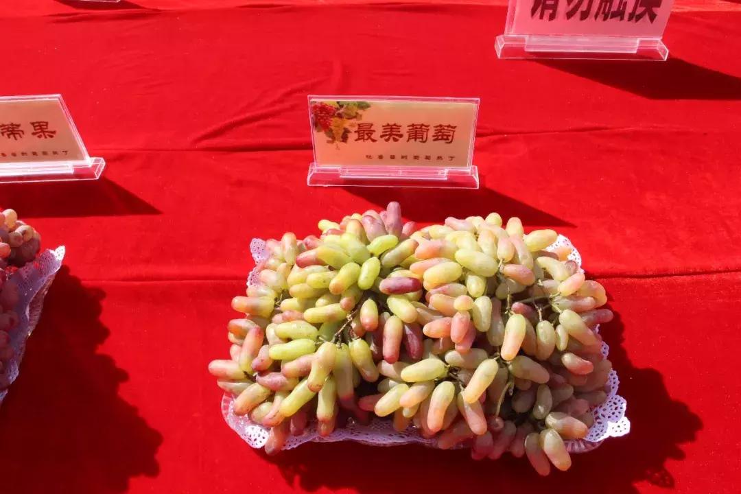 吃得明白看着糊涂,吃得明白看着糊涂心里清楚