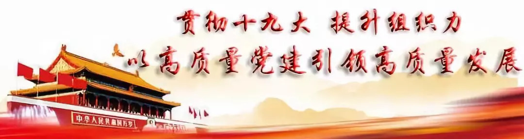 非公党建工作高质量发展,非公党建如何打造示范点