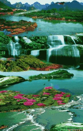 会动的照片大全,会动的11张图片