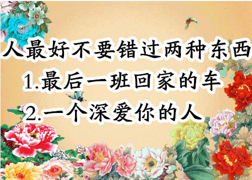 会动的照片大全,会动的11张图片