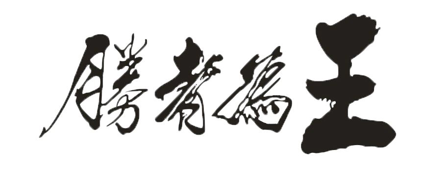 智计无双的小说,智计无双