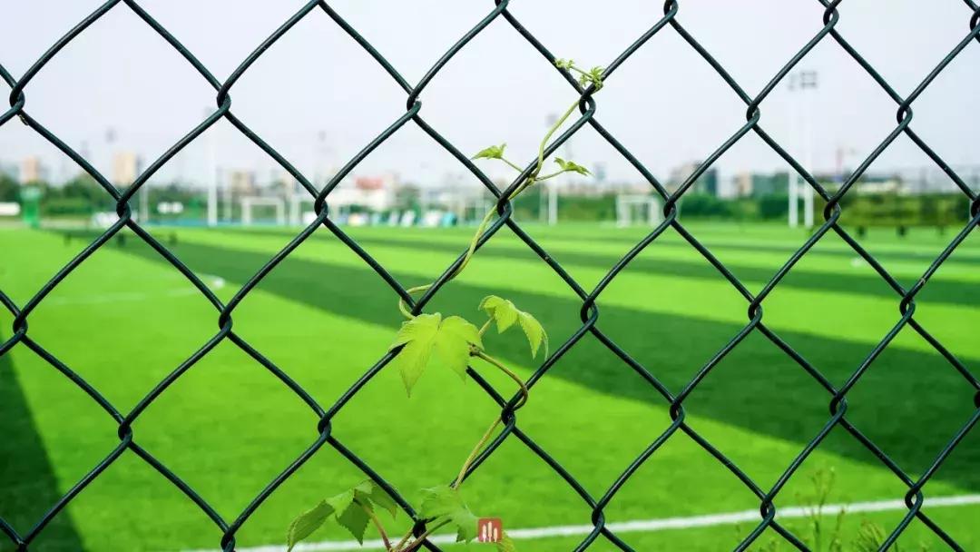 临平区附近哪有免费球场,临平山北大型公园