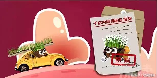 痛经，不孕竟是自己作出来的病，最萌“大姨妈”首秀，笑出猪叫声