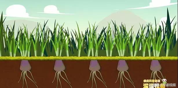 痛经，不孕竟是自己作出来的病，最萌“大姨妈”首秀，笑出猪叫声