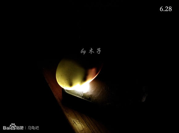 自己养的草龟怎么孵化草龟蛋,自家养的草龟如何产蛋