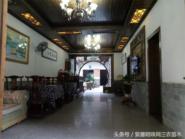 黄山旅游攻略黟县民宿景点,黄山宏村千岛湖西塘旅游攻略