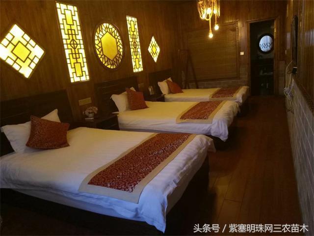 黄山旅游攻略黟县民宿景点,黄山宏村千岛湖西塘旅游攻略