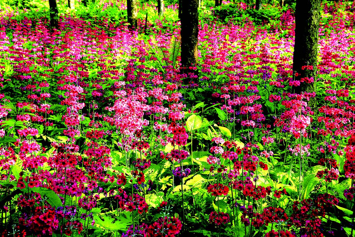 金口河大峡谷最美景观,金口河大峡谷旅游怎么样